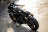 custom-harley-sportster-fatboy-slayer-house-8