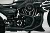 custom-harley-sportster-fatboy-slayer-house-1